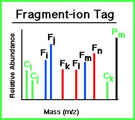 Fragment-ion Tag